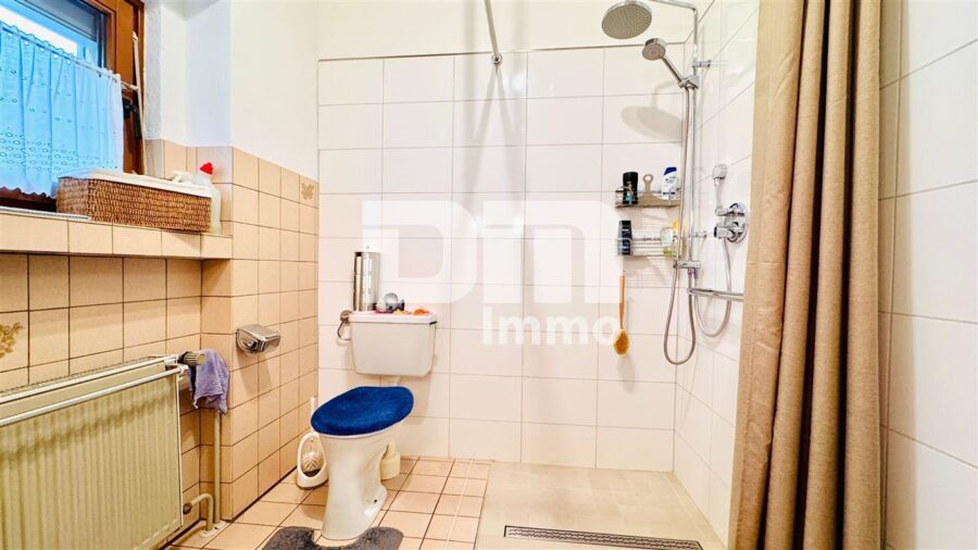 Modernisiertes Einfamilienhaus auf riesigem Grundstück mit Carport und Nebengebäude - EG Badezimmer / Dusche ebenerdig